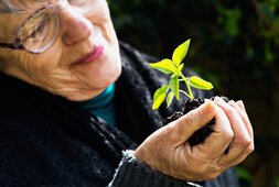 Ältere Dame hält eine junge Planze in der Hand | © iStock_RapidEye_000022100535_Full